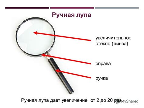 Критерии выбора штативной лупы