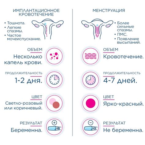 Кровянистое выделение в день овуляции