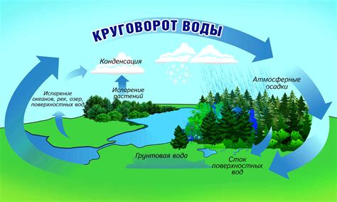 Круговорот воды в природе