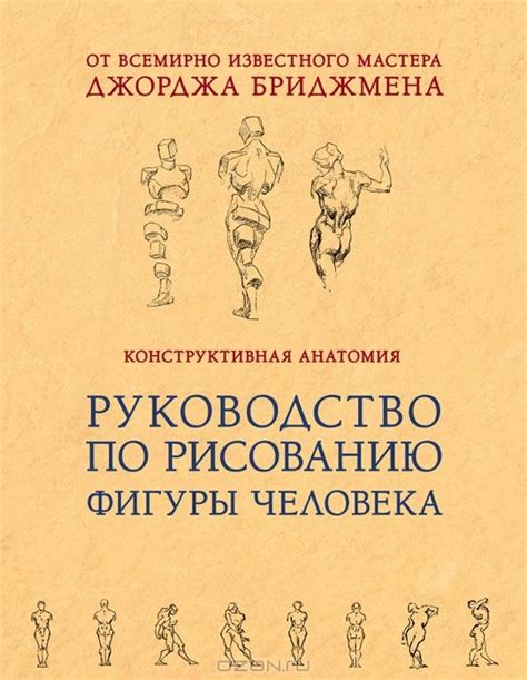 Круг на плоскости: руководство по рисованию