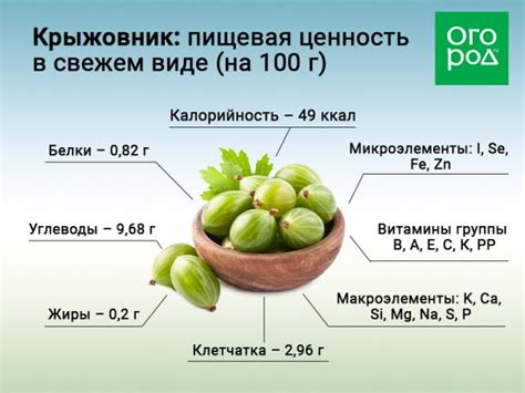 Крыжовник - ценность в пчеловодстве