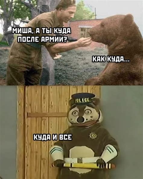 Куда уходят новые медведи?