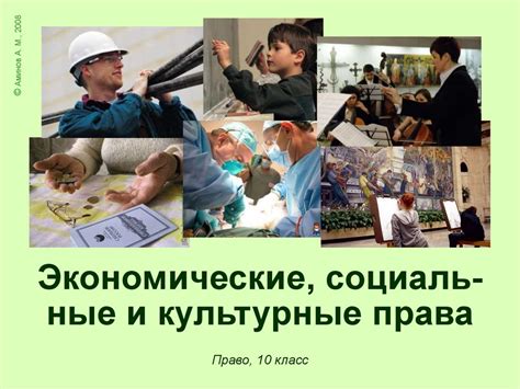 Культурные и социальные аспекты нашей обратной реакции