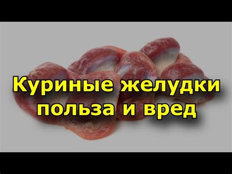 Куриные желудки: состав и польза