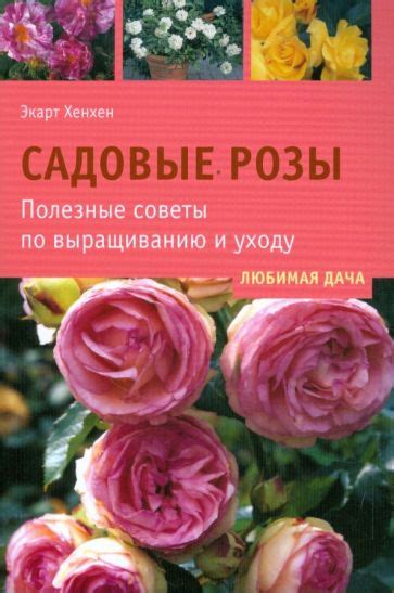 Кустовые розы: полезные советы по уходу