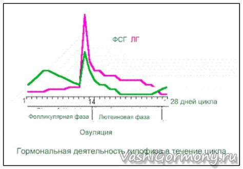 ЛГ и ФСГ: детерминанты и коррелирующие факторы