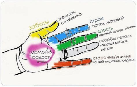 Лакмусный бумажник: реакция и связь с краснеющими пальцами