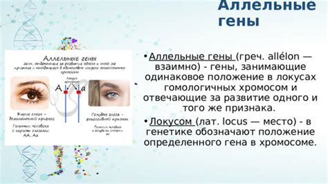 Леворукость и праворукость: генетические факторы