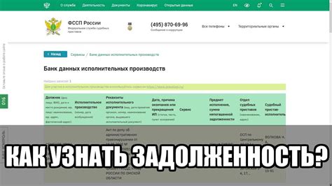 Легкий способ узнать информацию о таможне