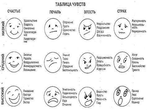 Лексика и названия: как язык влияет на формирование названий