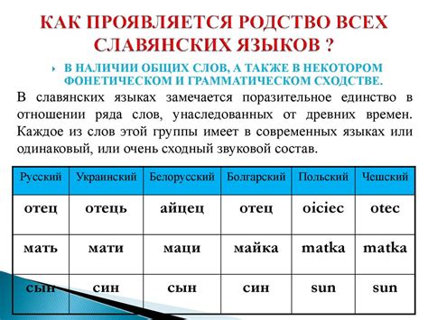 Лексика русского языка и ее отличия от других славянских языков