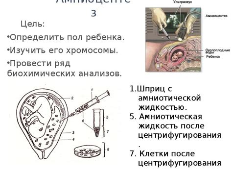 Лечение и предупреждение болезней