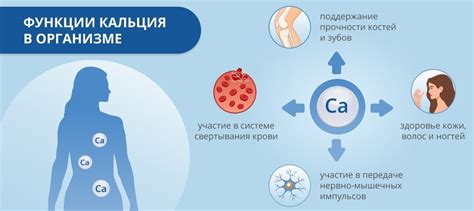 Лечение недостатка кальция