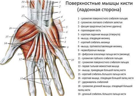 Лечение чесания безымянного пальца правой руки