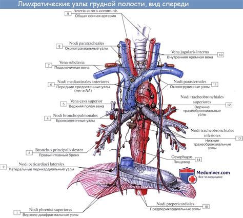 Лимфатическое расстройство