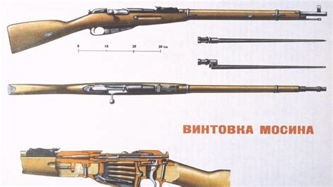 Линейка: наследие винтовки Мосина