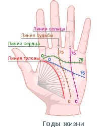 Линия жизни: предсказание долголетия и здоровья