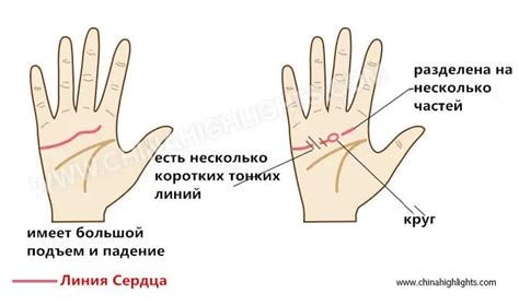 Линия сердца: раскрывает тайны любовной жизни