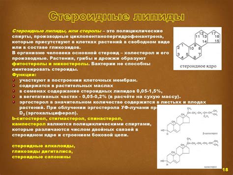 Липиды как эффективное средство защиты