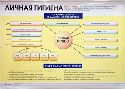 Личная гигиена и инфекционные заболевания