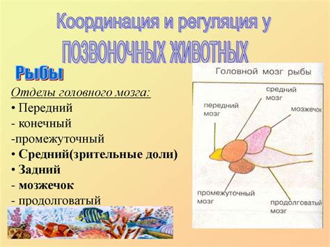 Лучшая организация и координация процессов