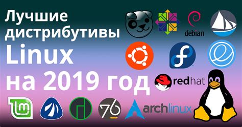 Лучшие дистрибутивы Linux