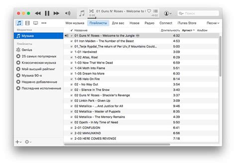 Лучшие плееры для использования вместо iTunes на MacBook