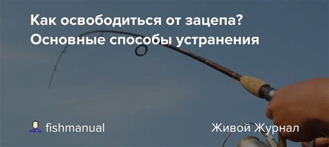 Лучшие способы освободиться от пьюр гуру