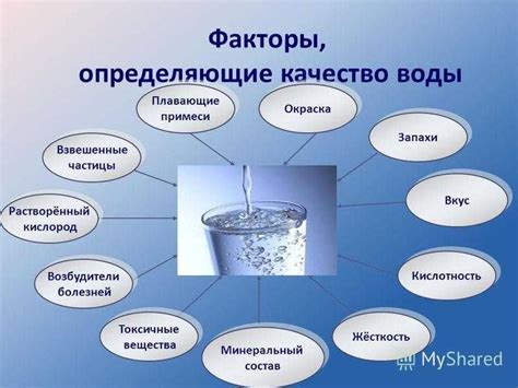 Лучшие способы очищения воды