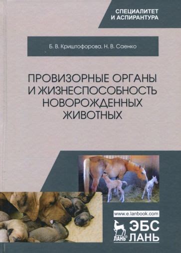 Лучшие способы повышения жизнеспособности животных