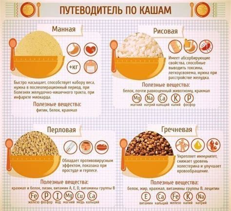 Лучшие способы приготовления каши для басика