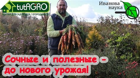 Лучшие способы сохранения бокаши