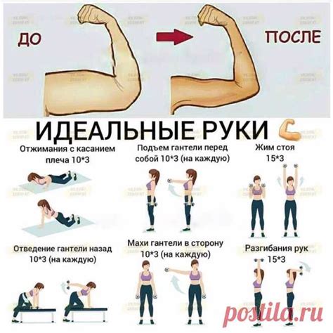 Лучшие упражнения для развития мышц рук