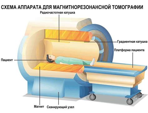 МРТ - магнитно-резонансная томография