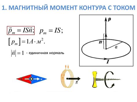 Магнитный момент диамагнетиков и его взаимодействие с магнитным полем