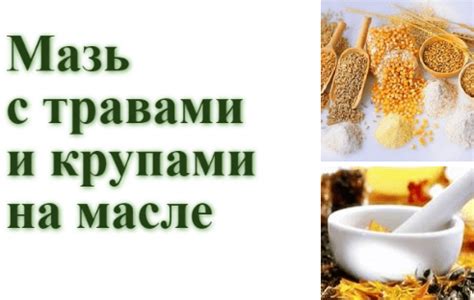 Мазь петли растительным маслом: