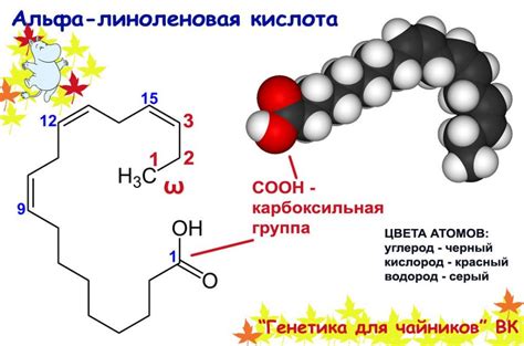 Масла и жирные кислоты, содержащиеся в селедке