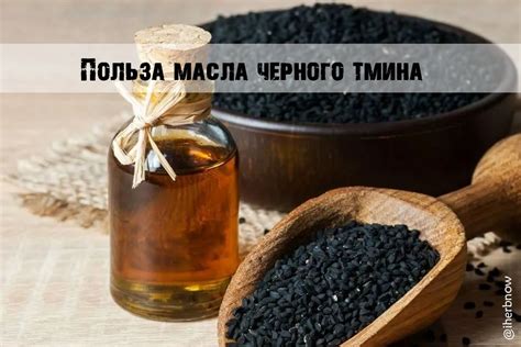 Масло черного тмина для собак: полезные свойства