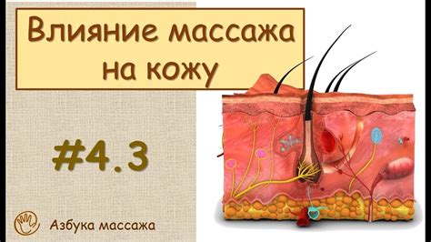 Массаж и его положительный эффект на кожу