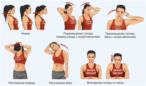 Массаж и растяжка для шеи: основные приемы