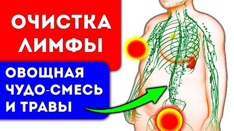 Массаж и самомассаж для стимуляции лимфатической системы