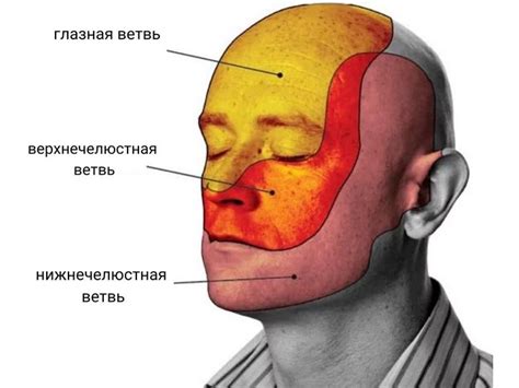 Массаж при невралгии: эффективные методы и безопасное лечение