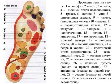 Массаж стоп: полезные советы и техники