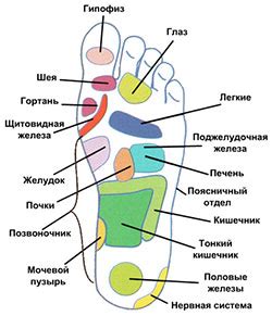 Массаж ступней – кровоток и ощущение комфорта