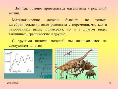 Математические равенства в жизни