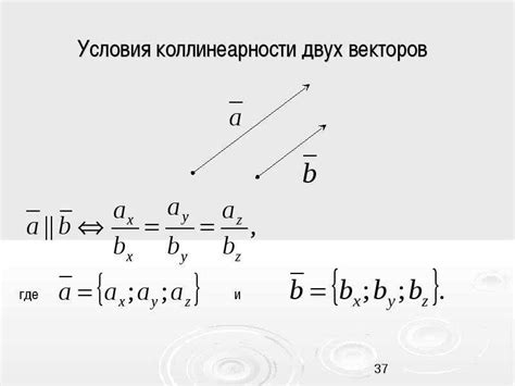 Математическое понятие коллинеарности векторов