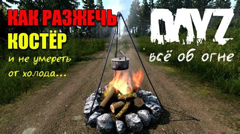 Материалы для создания костра в DayZ на PS4