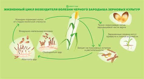 Материалы корпуса и их влияние на качество помола