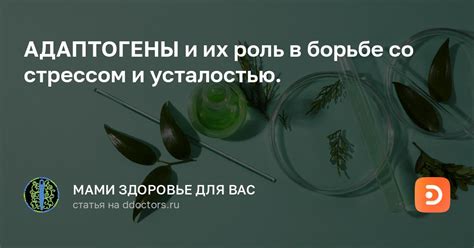 Медитативные практики и их роль в борьбе со стрессом