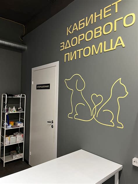 Медицинские услуги ветеринаров Star Pets